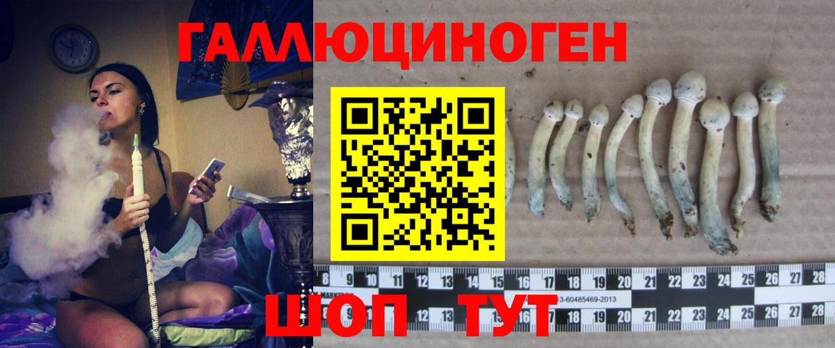 Псилоцибиновые грибы Psilocybe  Вход с VPN  Псилоцибиновые грибы Magic Shrooms  Трёхгорный 